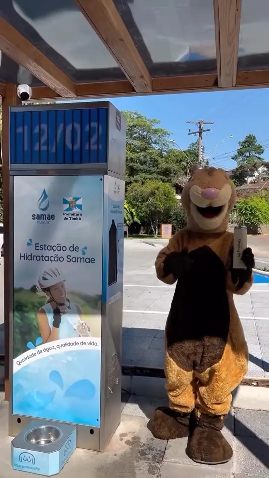 Capa do vídeo: Timbó