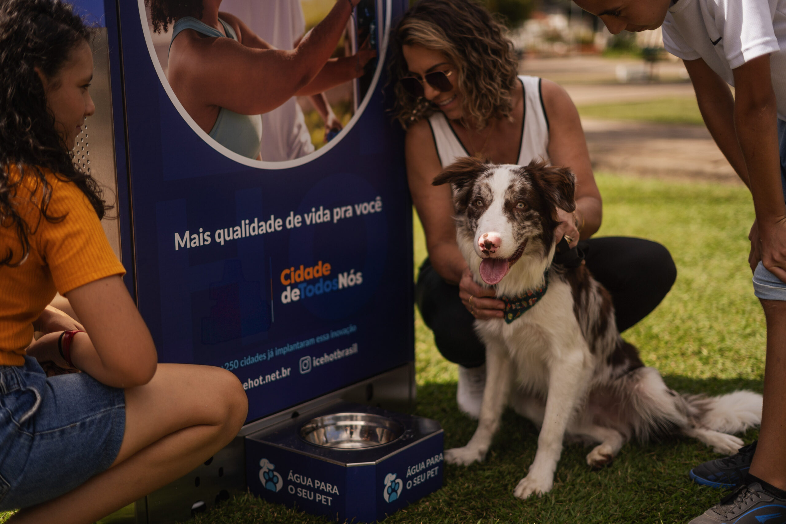 Pets também requerem cuidados com a hidratação